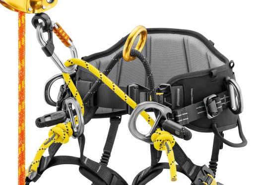 Petzl Sequoia Baumklettergurt Modell 2026