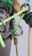 Baumklettergurt Edelrid TreeRex II