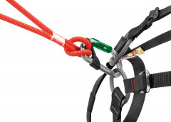 Petzl AM D Pinlock Karabiner