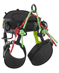 Baumklettergurt Edelrid TREERAPTOR