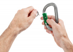 Petzl AM D Pinlock Karabiner