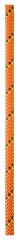 Petzl Parallel 10.5mm/100m/orange mit 2 Endverbindungen
